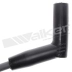 Walker 924-1795 Spark Plug Wire Set - view 4