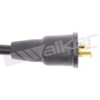 Walker 924-1798 Spark Plug Wire Set - view 3