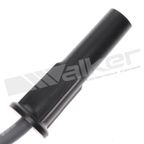 Walker 924-1802A Spark Plug Wire Set - view 3