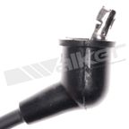 Walker 924-1816 Spark Plug Wire Set - view 2