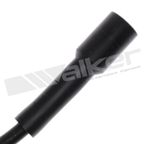 Walker 924-1823 Spark Plug Wire Set - view 5