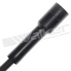 Walker 924-1835 Spark Plug Wire Set - view 2