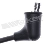 Walker 924-1846 Spark Plug Wire Set - view 3