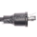 Walker 924-1860 Spark Plug Wire Set - view 3