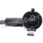 Walker 924-1938 Spark Plug Wire Set - view 2