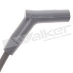 Walker 924-1939 Spark Plug Wire Set - view 2