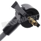 Walker 924-1939 Spark Plug Wire Set - view 3