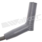 Walker 924-1940 Spark Plug Wire Set - view 2