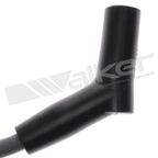 Walker 924-2003 Spark Plug Wire Set - view 2