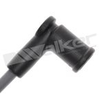 Walker 924-2004 Spark Plug Wire Set - view 3