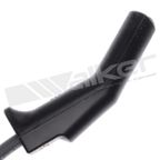 Walker 924-2005 Spark Plug Wire Set - view 2