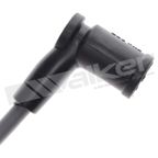 Walker 924-2023 Spark Plug Wire Set - view 2