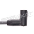 Walker 924-2024 Spark Plug Wire Set - view 3