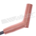 Walker 924-2035 Spark Plug Wire Set - view 5
