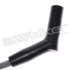 Walker 924-2036 Spark Plug Wire Set - view 3