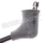 Walker 924-2040 Spark Plug Wire Set - view 3