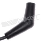 Walker 924-2042 Spark Plug Wire Set - view 2