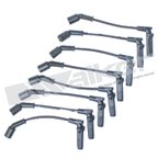 Walker 924-2050 Spark Plug Wire Set - view 1