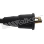 Walker 924-2062 Spark Plug Wire Set - view 3