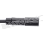 Walker 924-2076 Spark Plug Wire Set - view 3