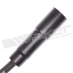 Walker 924-2078 Spark Plug Wire Set - view 3