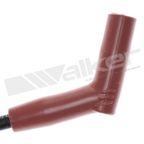 Walker 924-2081 Spark Plug Wire Set - view 2