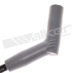 Walker 924-2081 Spark Plug Wire Set - view 3
