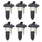 Walker 928-4055-6 Ignition Coil Set - view 1