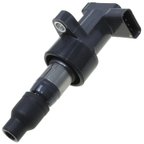 Walker 928-4086-6 Ignition Coil Set - view 2