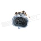 Walker 933-5005 Engine Cylinder Head Temperature Sensor - view 3