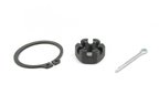Mevotech GK9669 Suspension Ball Joint - Front Lower - view 3