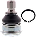 Mevotech GS30518 Suspension Ball Joint - Front Lower - view 6