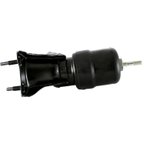 Pioneer Cables 608796 Engine Mount - Rear - view 3