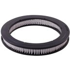 Pronto PA3398 Engine Air Filter - view 2