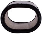 Pronto PA3466 Engine Air Filter - view 5