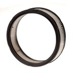 Pronto PA3474 Engine Air Filter - view 2
