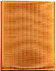 Pronto PA5252 Air Filter - view 1