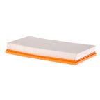 Pronto PA5267 Air Filter - view 2