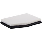 Pronto PA5437 Engine Air Filter - view 2