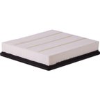 Pronto PA5512 Engine Air Filter - view 2