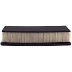 Pronto PA5558 Engine Air Filter - view 3