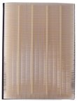 Pronto PA5823 Engine Air Filter - view 1
