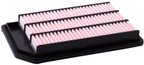 Pronto PA6123 Engine Air Filter - view 4