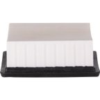 Pronto PA6199 Engine Air Filter - view 4