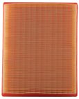 Pronto PA7859 Air Filter - view 1