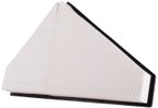 Pronto PA99175 Engine Air Filter - Right - view 1
