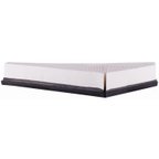 Pronto PA99175 Engine Air Filter - Right - view 3