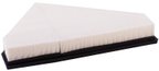 Pronto PA99175 Engine Air Filter - Right - view 4