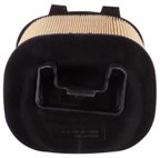 Pronto PA99220 Engine Air Filter - view 5
