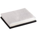 Pronto PA99262 Engine Air Filter - view 2